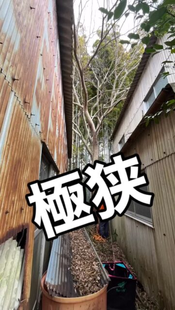 何事もなく、危なげもなく、完了