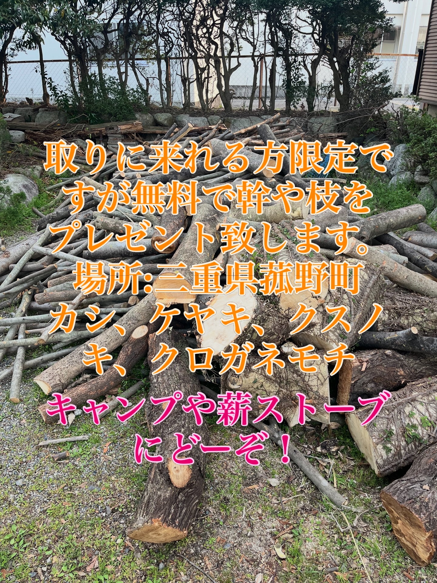 取りに来れる方限定ですが
カシ、ケヤキ、クロガネモチ、クスノキ、マキノキ
幹、枝
無料プレゼント🎁
DM頂ければ助かります😊