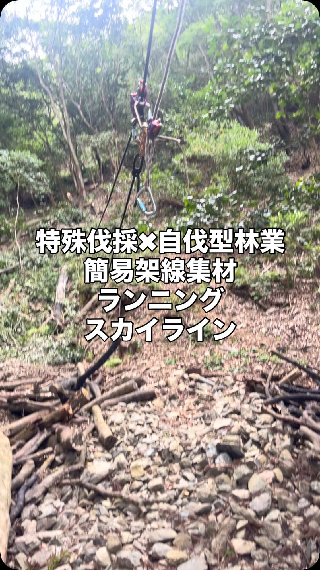 特殊伐採
自伐型林業
ランニングスカイライン
薪事業
@marui_service さんありがとうございます。