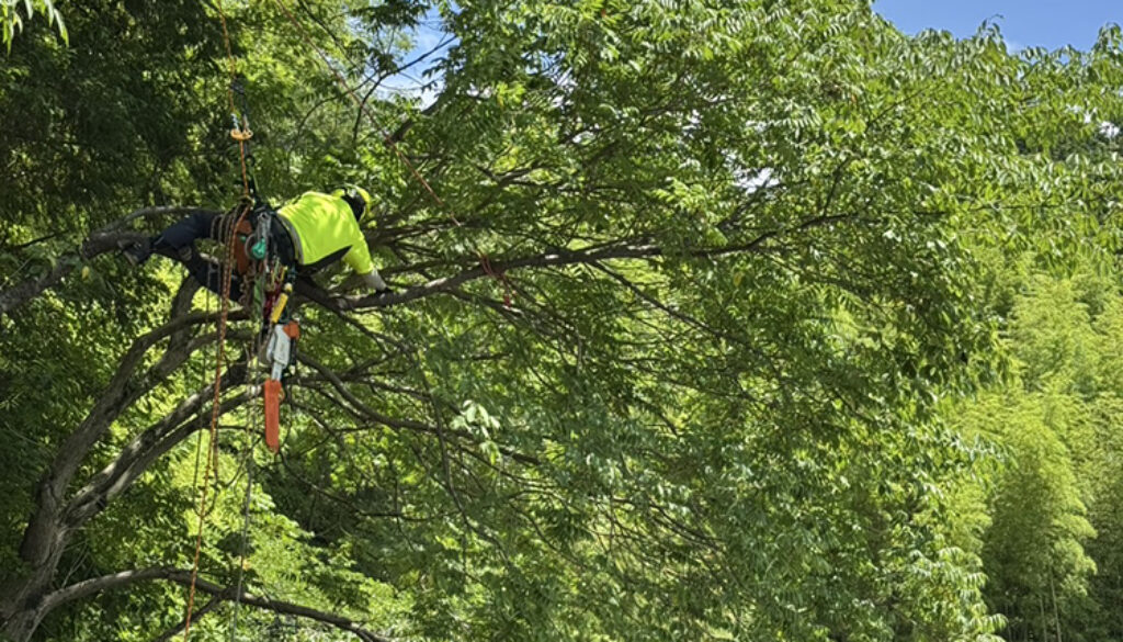 落ち葉の掃除や屋根掃除、戸井の詰まりで困っていた…。