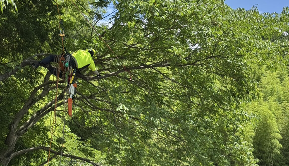 落ち葉の掃除や屋根掃除、戸井の詰まりで困っていた…。