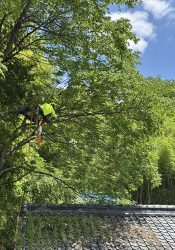 落ち葉の掃除や屋根掃除、戸井の詰まりで困っていた…。