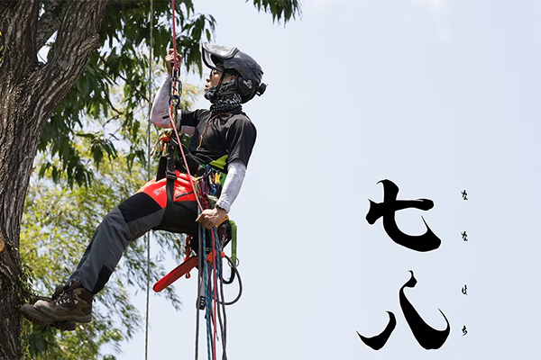 株式会社七八 樋口建築