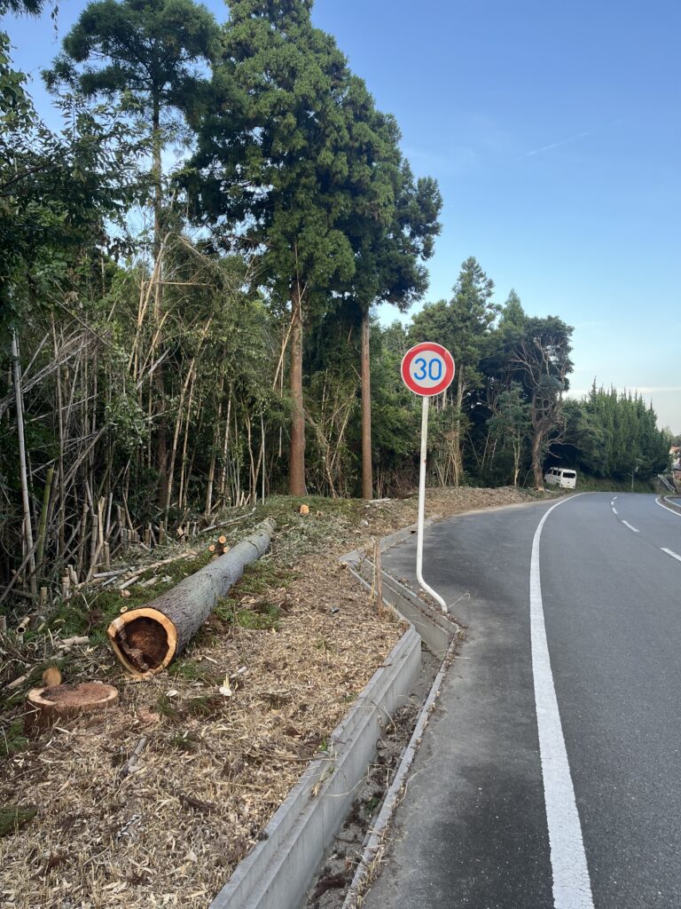 枝葉や幹の処分方法
