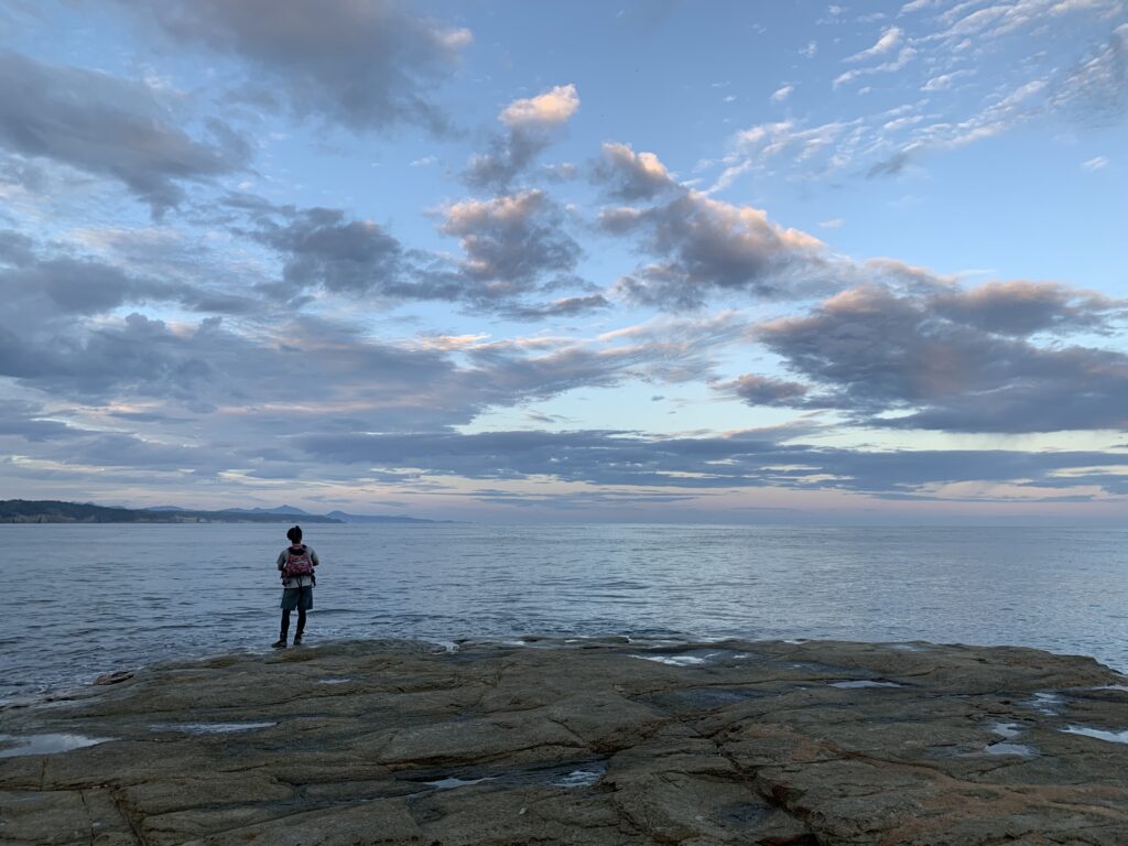 森と海は密接につながっています