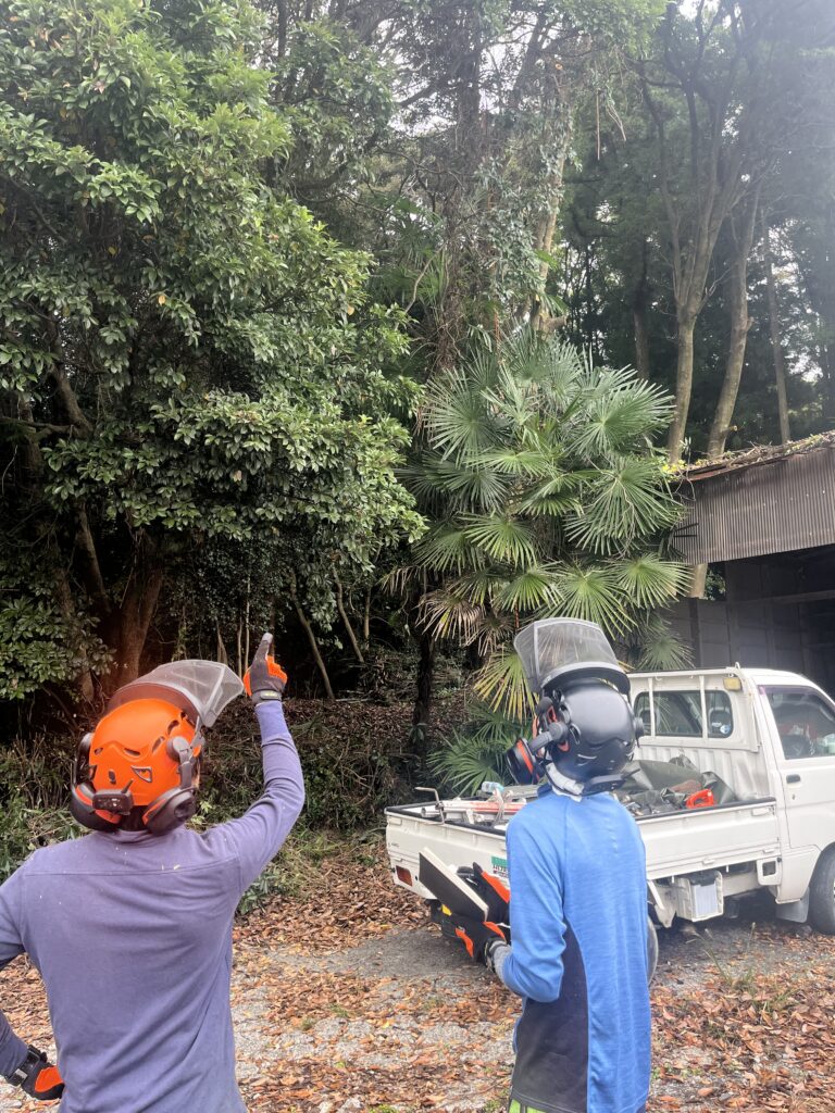 チームで現場の安全確認をしている場面