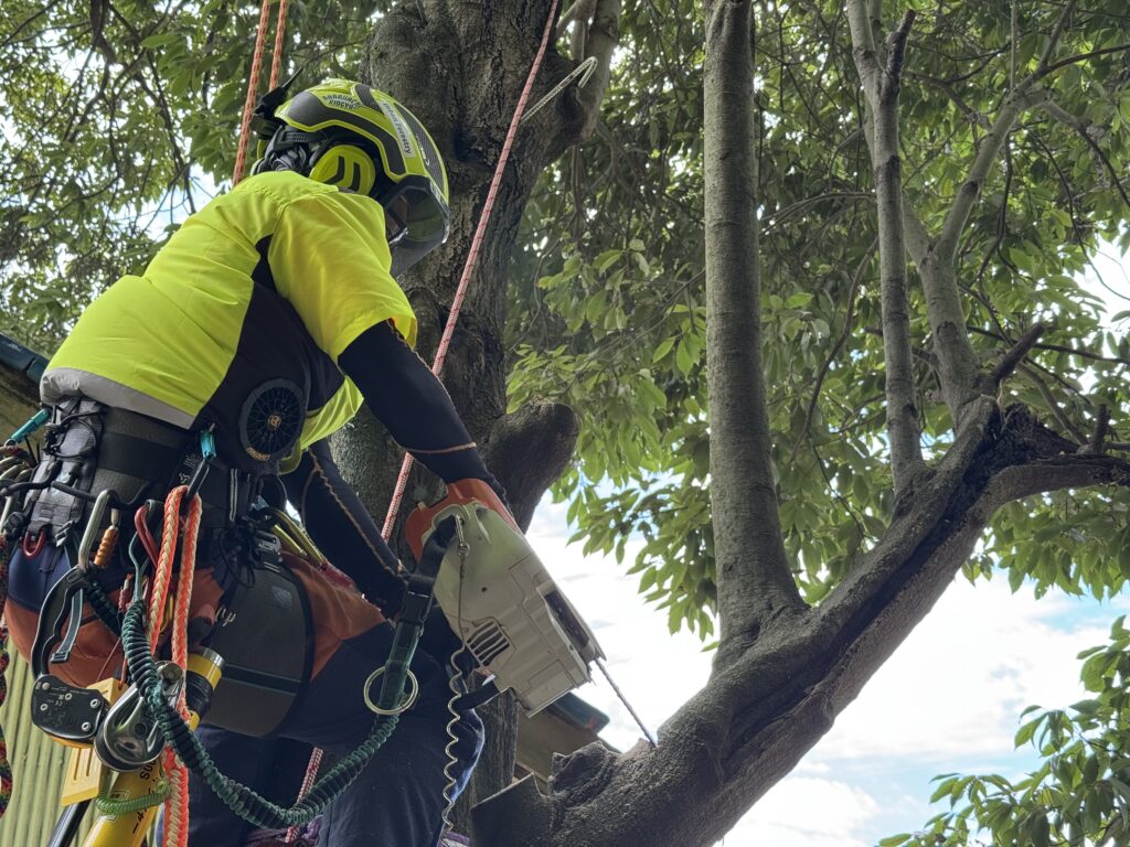 事故を未然に防ぎ、安全で確実な作業を実現します。