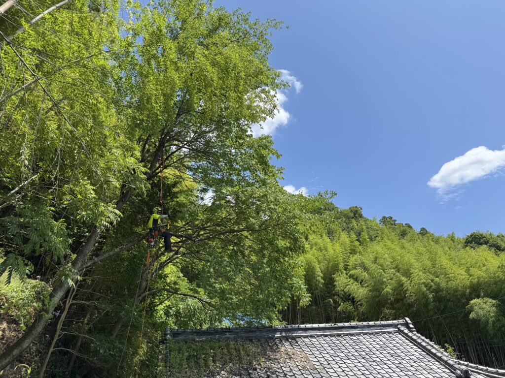 落ち葉トラブル