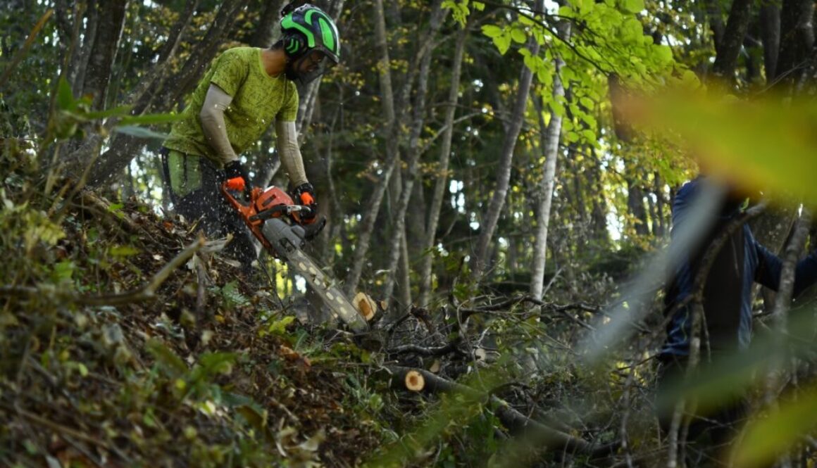 里山と海のつながり