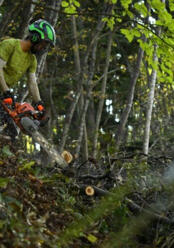 里山と海のつながり
