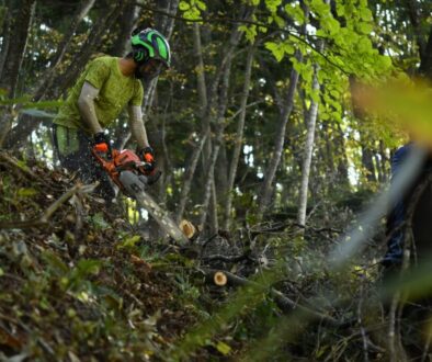 里山と海のつながり