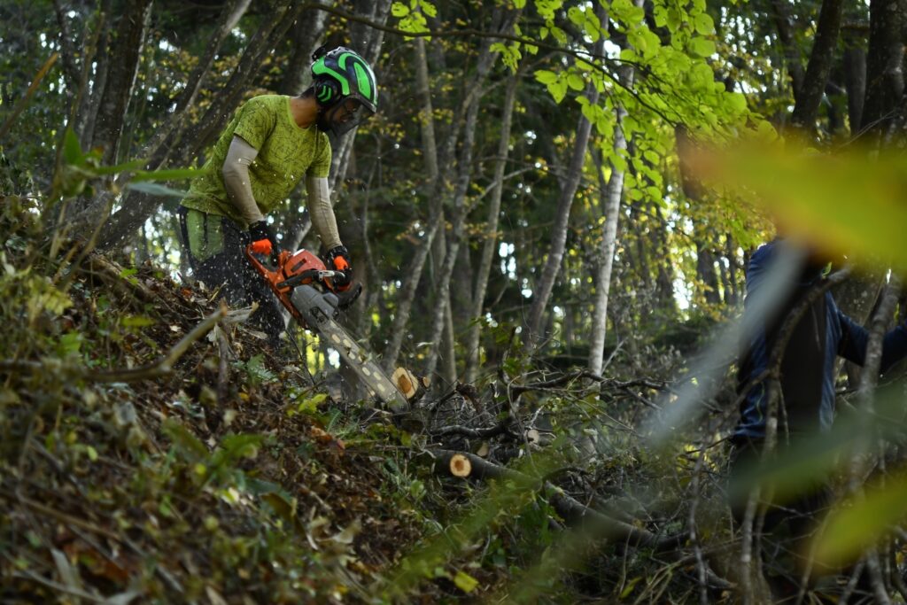 適切に手を入れ森を整えることは、未来の海を育てることでもあるのです。