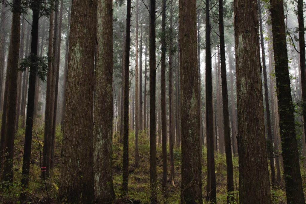 海の豊かさを生み出す源