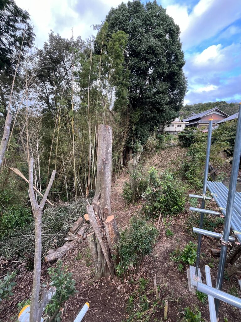 大きくなりすぎた木を自分で管理しやすい高さまで樹形を小さくしてほしい!