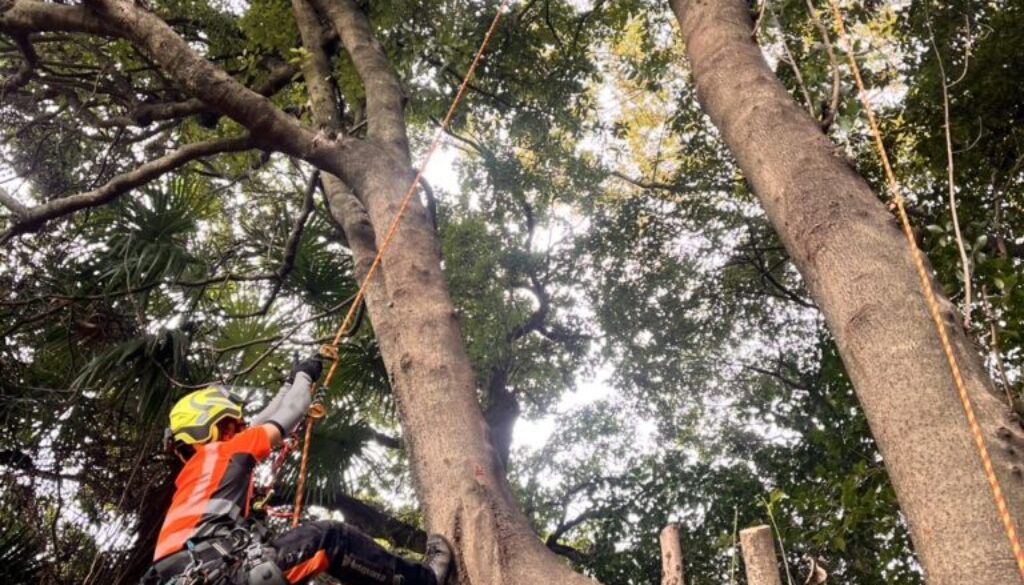 カラダが資本”を貫くプロの現場哲学