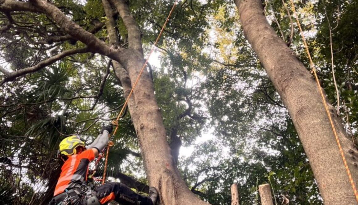カラダが資本”を貫くプロの現場哲学