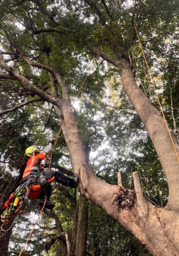 カラダが資本”を貫くプロの現場哲学