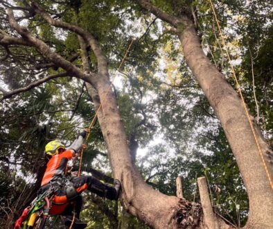 カラダが資本”を貫くプロの現場哲学