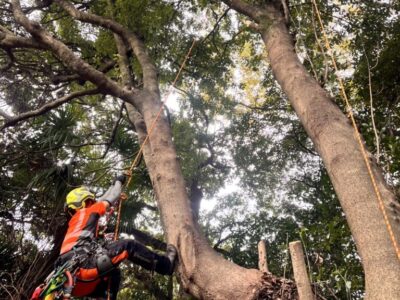 カラダが資本”を貫くプロの現場哲学