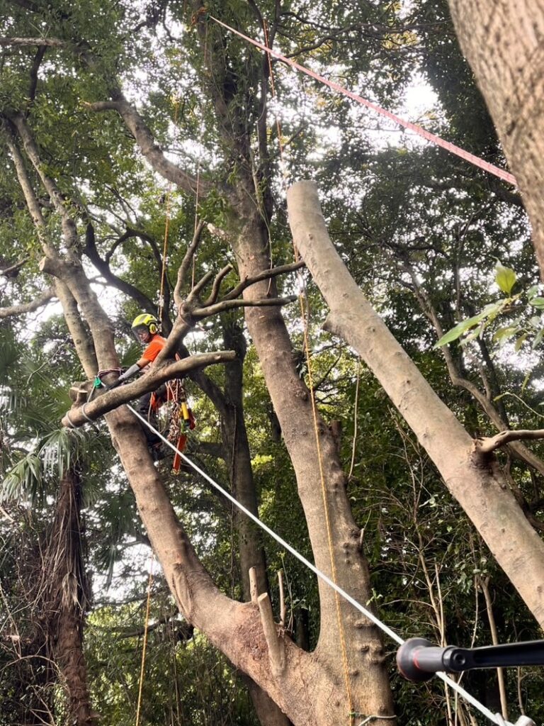 上作業に関わる専門の資格を持つ専門業者に依頼することがとても重要です。