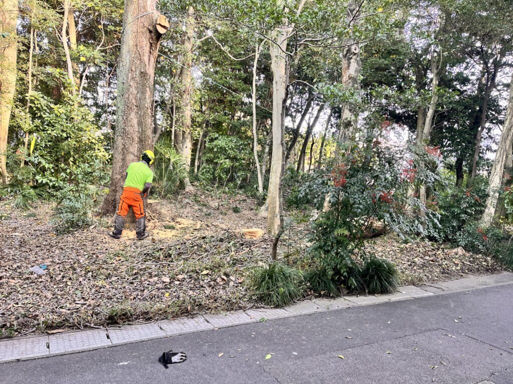 私たちは「人の安全」を最優先に伐採を行います。