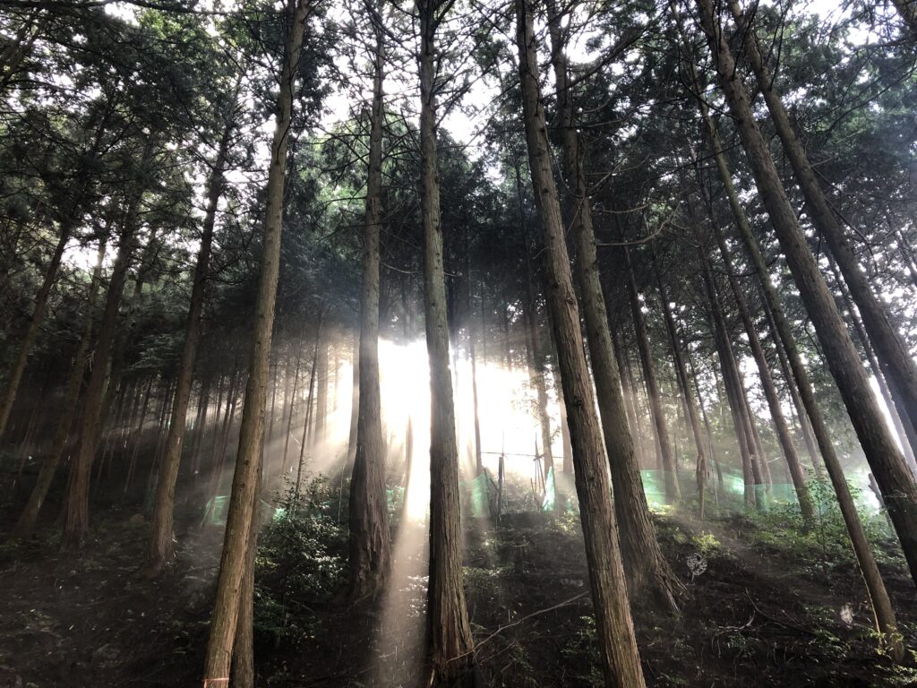 漁師さんが植林をしたり、林業者が海の環境を学んだり、業種を越えた取り組みが全国で広がっています。