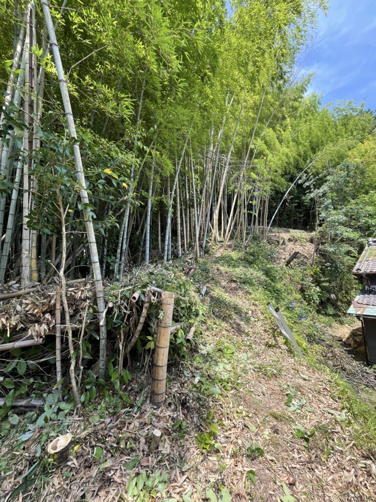 住宅街の裏山では、安全確保のためにも欠かせない作業