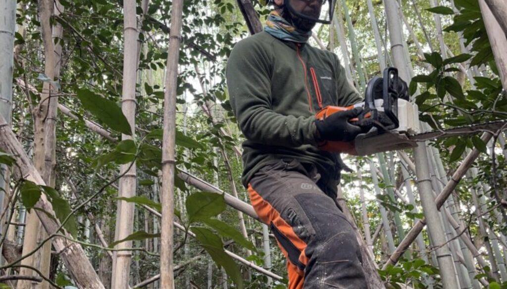 低コスト竹林整備事業