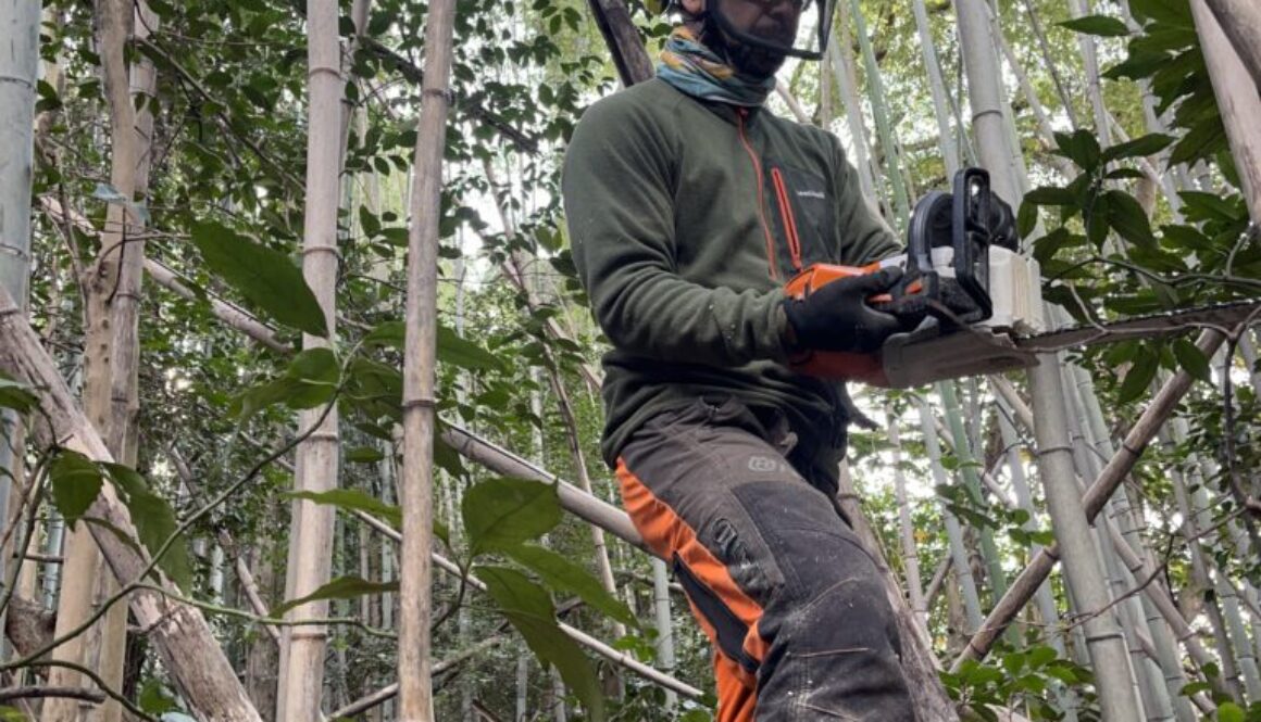 低コスト竹林整備事業