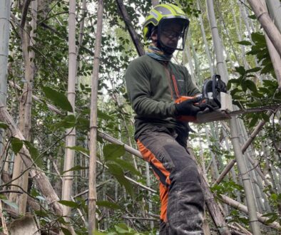 低コスト竹林整備事業