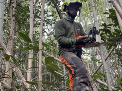 低コスト竹林整備事業