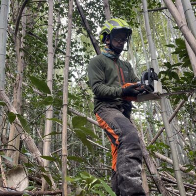 低コスト竹林整備事業