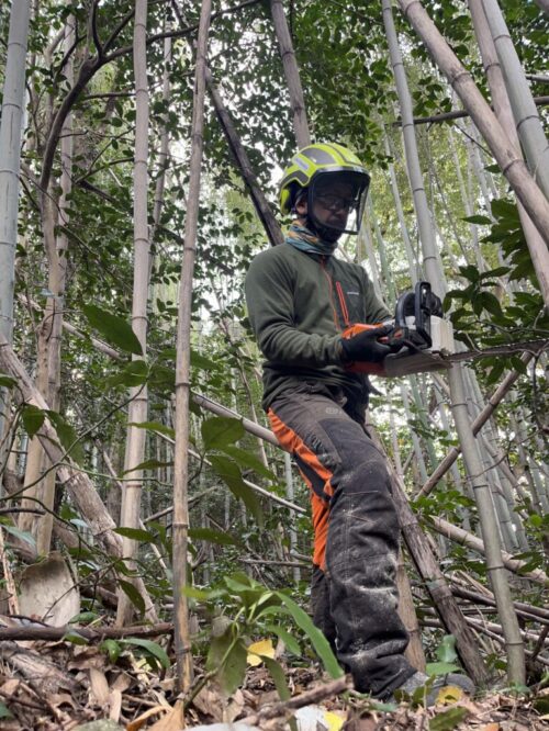 低コスト竹林整備事業