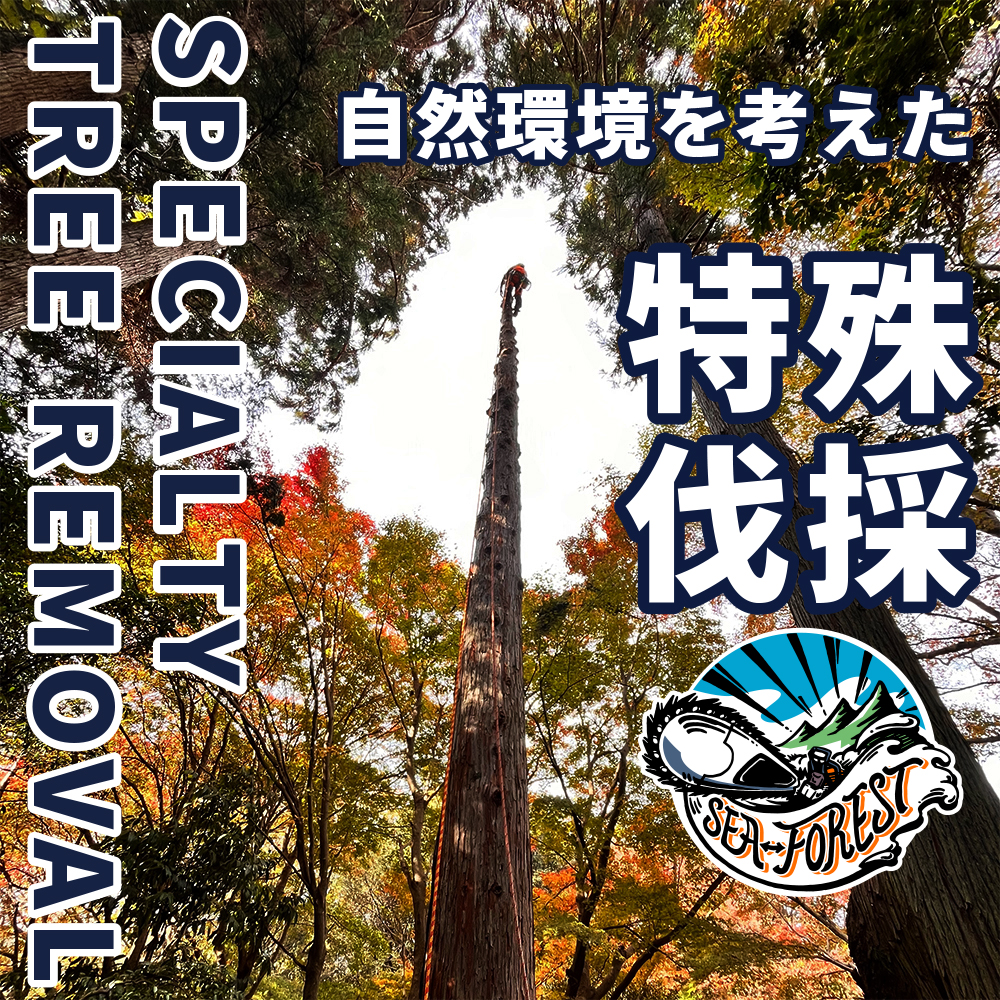 三重県特殊伐採｜SEAFOREST