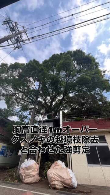 電線、瓦、家屋、交通量の多い道路
となかなか条件が厳しい条件でしたが
無事何事も無くフィニッシュ!
依頼頂いた同級生の
@hotta.tekko.inc の社長
ありがとう😊
また宜しくお願いします🤲