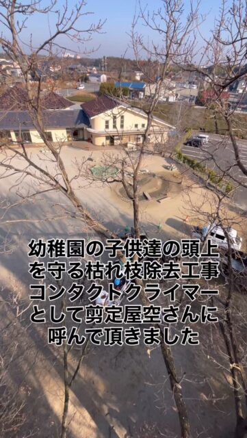 幼稚園の園内にある森の危険枯れ枝除去工事に
@senteiya_sora さんにコンタクトクライマー
としてお呼ばれ。
ひと通り危険な枯れ枝除去後
何やら剪定屋空ご夫婦がゴソゴソと
何かを準備、、、
根っこへの肥料や
ドローンを飛ばし、森の全体像を把握
落ち葉を一筋掃除して、
冒険ルートの道を作ったり
一緒に仕事させて頂いて
常に色んな事を勉強させてもらって
楽しくてニヤニヤが止まりませんでした😃
またお願い致します。