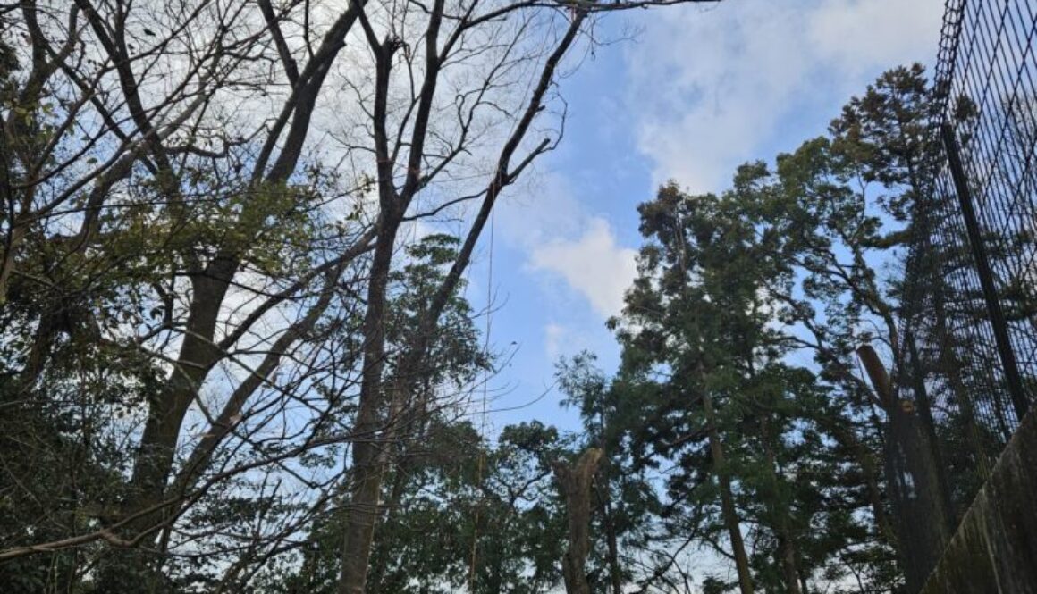 ロープクライミングのトラバーステクニック