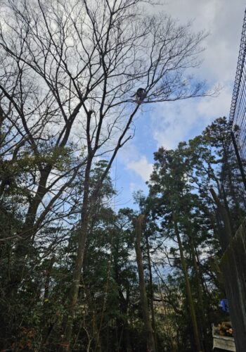 ロープクライミングのトラバーステクニック