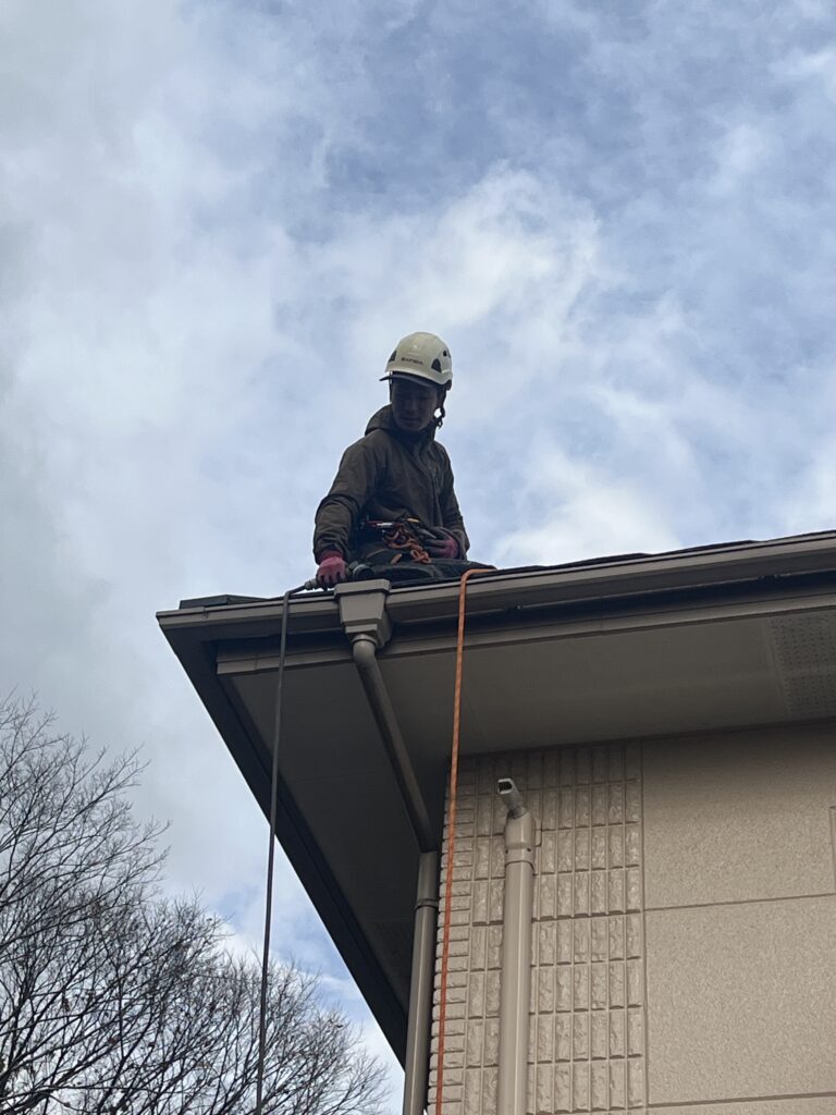雨樋の清掃・詰まり除去