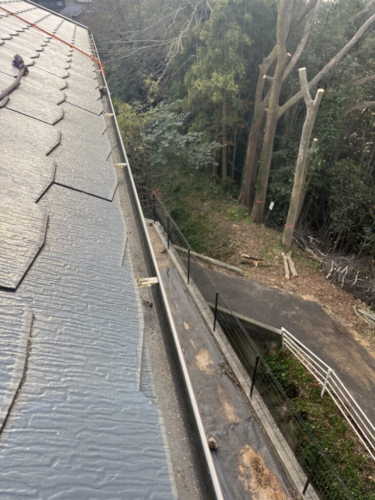 屋根上の落ち葉清掃