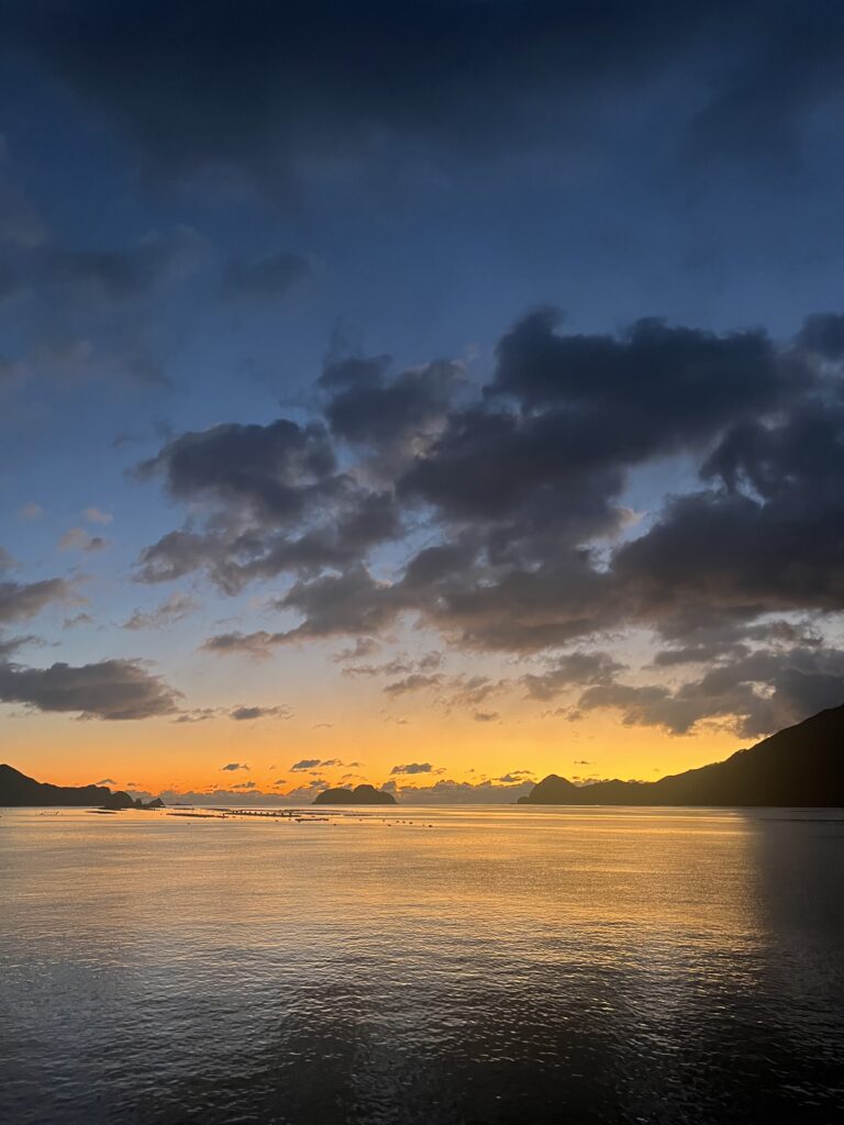 謹賀新年/SEAFOREST(シーフォレスト）