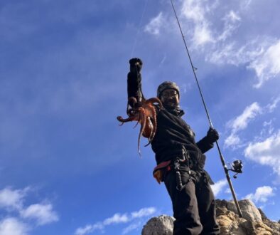 新年あけましておめでとうございます。凧揚げではなく蛸釣りです。