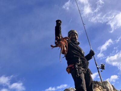 新年あけましておめでとうございます。凧揚げではなく蛸釣りです。