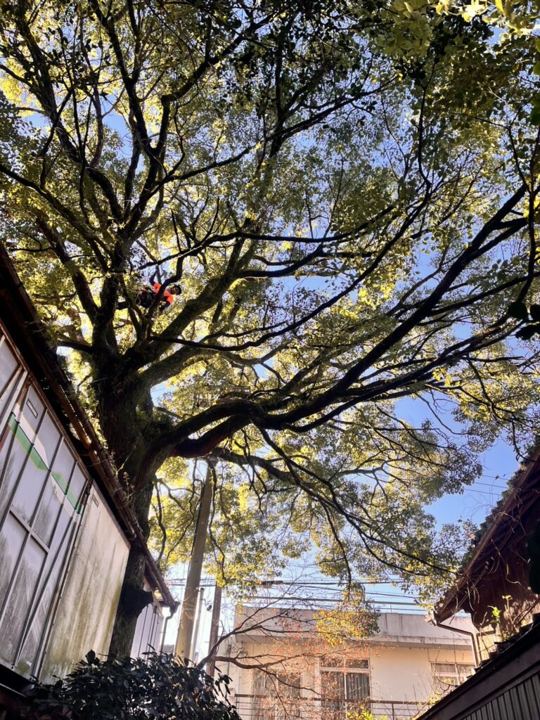 空のパズルを美しく整えるお手伝いをいたします。