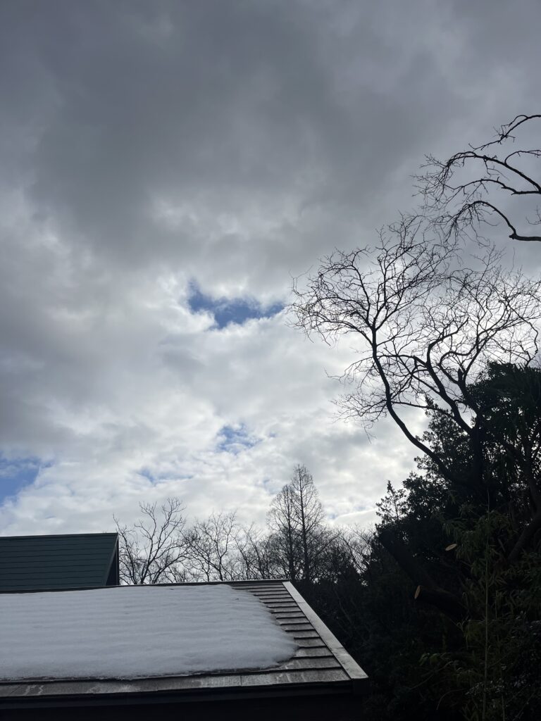 桜の花が毎年見れるように