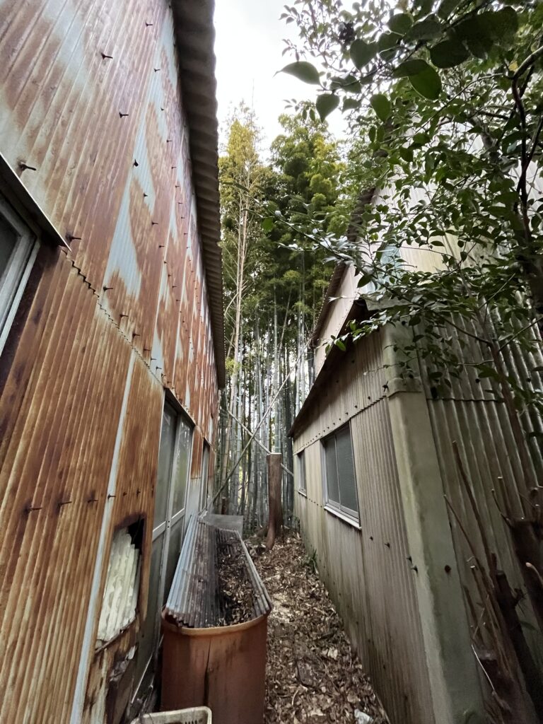 施主様が管理できる大きさまで切り詰めました