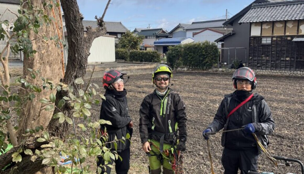 剪定屋空さんと