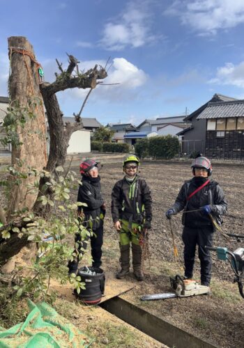 剪定屋空さんと