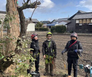剪定屋空さんと