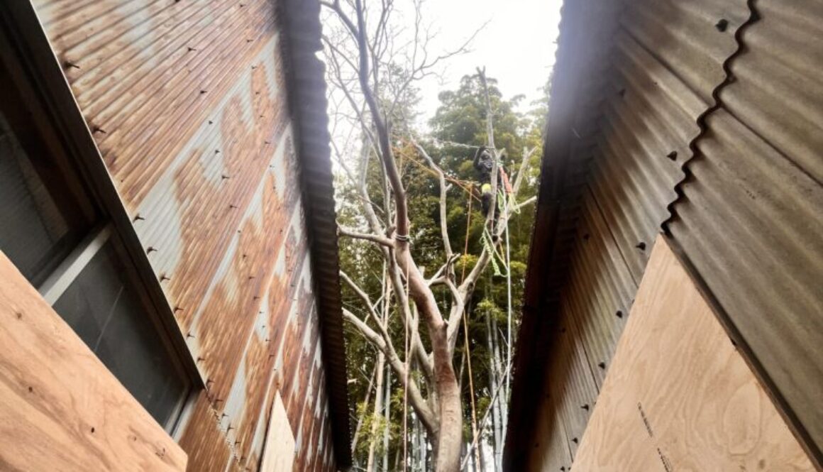 狭い場所の伐採もお任せください